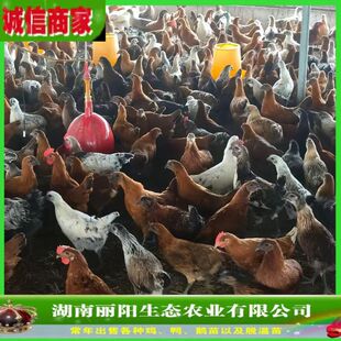 ���l�u����w�G�����u���s���u��Ѫ��G�����u���r����BС�_���u