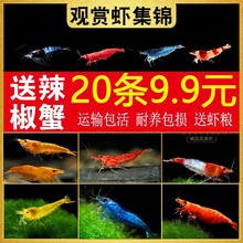 �r�r���^�p�r��ˮ�ښ��r�ѻ��r�O���r�{��ʯС�ͳ����r������ˮ�r