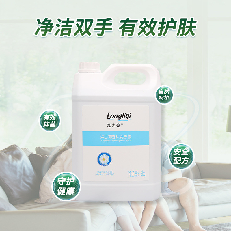 隆力奇清香泡沫型洗手液孕幼可用大桶補充裝按壓瓶家庭用廠家批發