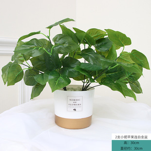 �ٻ����滨�͏d�[���Ӽ��b�������ֲ���辰����Gֲ���WС����