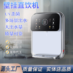 配管機加熱家庭用浄水器壁掛け式無水タンク厨房速熱直飲浄水器出水殺菌