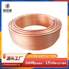 �߼��� TP2 ���~����P�~�� �͸��g�ɏ���������{�P�ܹ��Sֱ�N