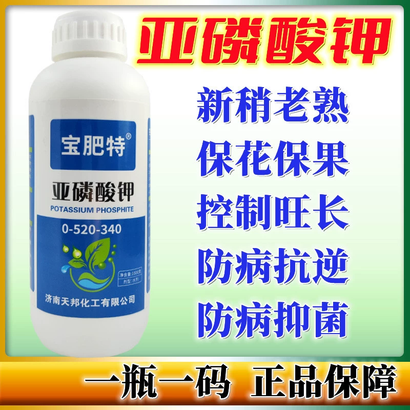 Фосфит калия для контроля цитрусовых слегка контролирует интенсивный рост и повышает урожайность и устойчивость к болезням для фруктовых деревьев и овощей. Водорастворимое листовое удобрение фосфит калия.