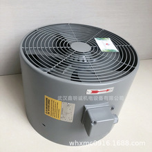 G-series VentilatorƵȴ G-315A