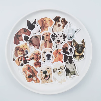 50 Zhang Meng pet golden Body sticker
