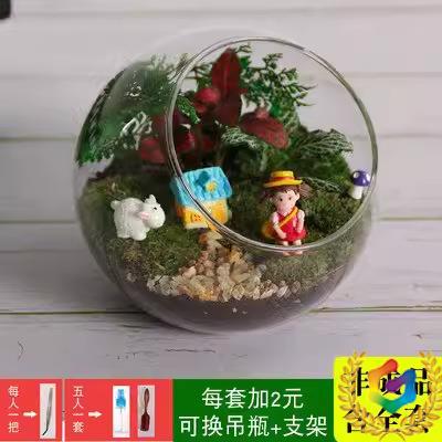 ◈ New Product Activity Moss Micro-Landscape DIY Material Kit Glass Bottle Handmade Succulent Green Plant Potted Plant Gift Set