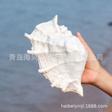 ��������̫�ؐ�ҾӔ[���ղؘ˱��~��ˮ���쾰��Ȼ����ؐ�����l