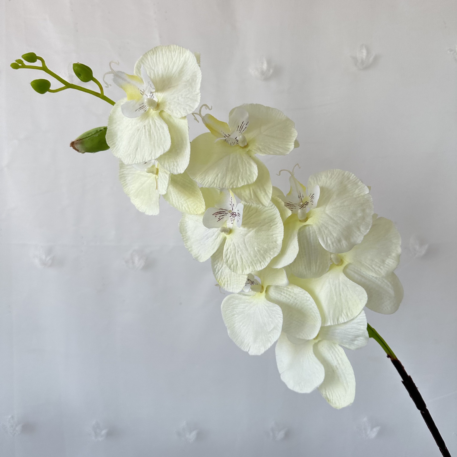 Los fabricantes suministran flores secas simuladas en la sala de estar, flores de jarrón, tela de pelo de ocho cabezas, plantas de simulación de Phalaenopsis, adornos de flores secas