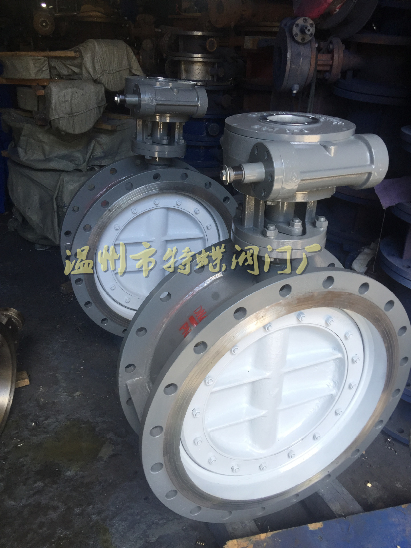 【质量有保证】硬密封蝶阀d343h-10c16c-25c--温州爱凯斯阀门厂