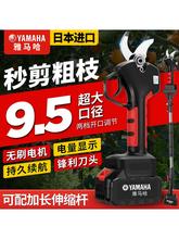 늄Ӽ����늳��ʽ�@�ֹ�����֦������֦늼��Ӽ�֦