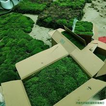 ̦�\�r��ͥԺ̦�\ƽ������\�̽q��̦�˹����쾰�װlС�����ָ�