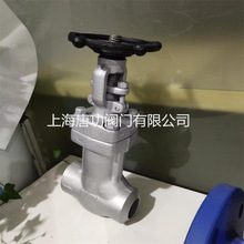 Z61Y�䓲��P�304 316L�������ܷⲨ�y���l�y ����Ӳ�|�Ͻ�Шʽ