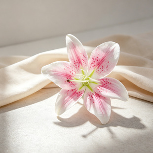����С�ٺϻ��^����DIY��c�b��^���͹��L�ֹ����ϰ�