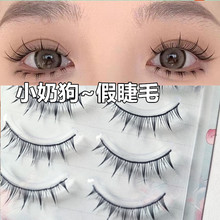 整条小奶狗假睫毛一片式漫画黑棉线眼睫毛妈生感自然仿真素颜韩式