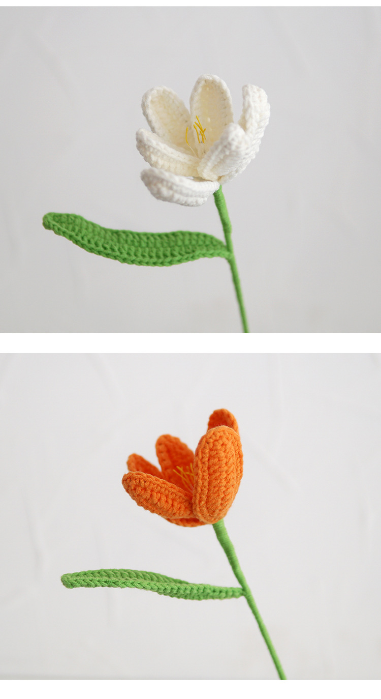 أسلوب بسيط ورد الزهور المجففة النباتات المقلدة display picture 1