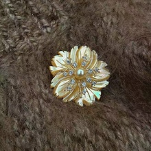 �nϵ���������řѻ����ؐ�ߙn����ٴ������ᘷ��߹����