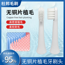 �m��С/ ��늄���ˢ�^��T100������ˢ�^����ܛë�坍��Q��ˢ�^