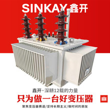1MVA油浸变压器33kv/0.415升6.6降压15kv电力11千伏20kv频率60hz