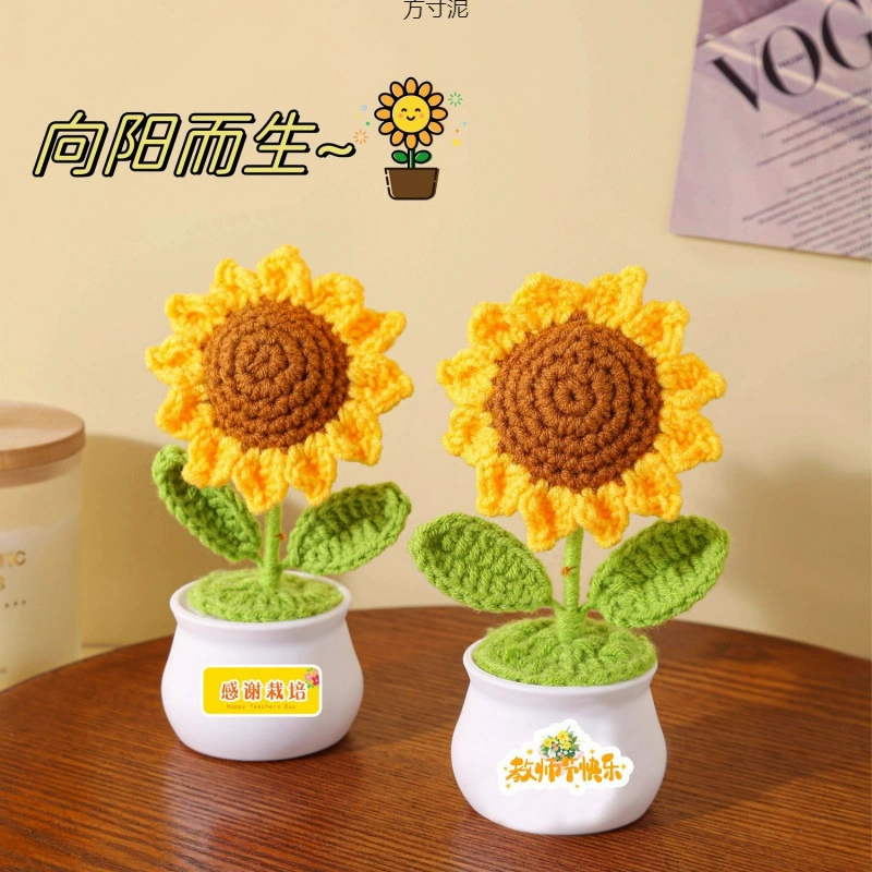 Подсолнух имитирует букет, подаренный учителю в День учителя