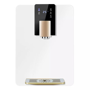 Cross-border 110V220V quick-Heating Refrigeration pipeline machine wall-mounted instant multi-gear adjustable pipeline water dispenser