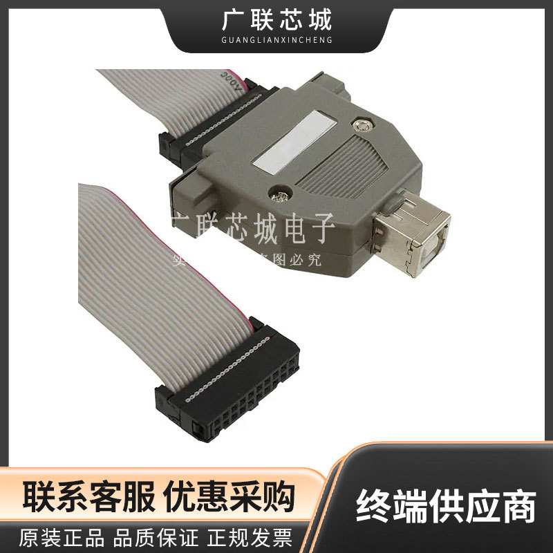 ARM-JTAG-COOCOX硬件调试器ARM JTAGADAPTER FOR COOCOX M0/M3/M4