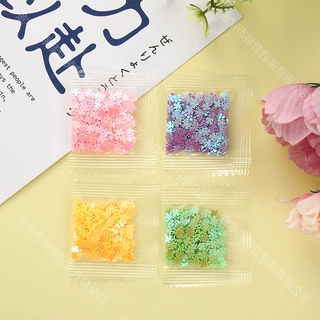亮晶晶美甲亮片彩色手工儿童闪粉DIY手工配件软陶瓷装饰定 制批发