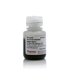 Pierce™ 抗-DYKDDDDK 磁性琼脂糖 Thermo Scientific A36798