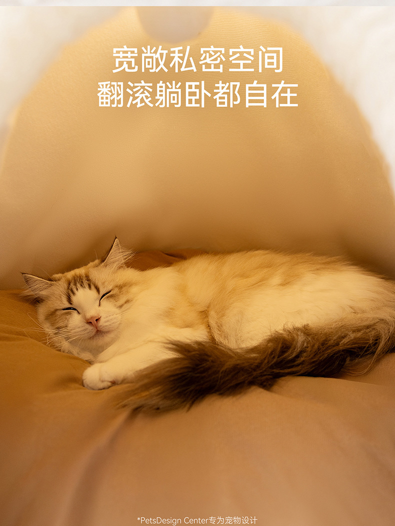 O1CN01T40nbw1QS8wTnhUd0_!!2206811161974-0-cib.jpg