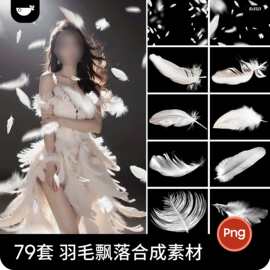 梦幻羽毛飘落艺术写真照装饰合成PNG免扣图片影楼后期修图PS素材