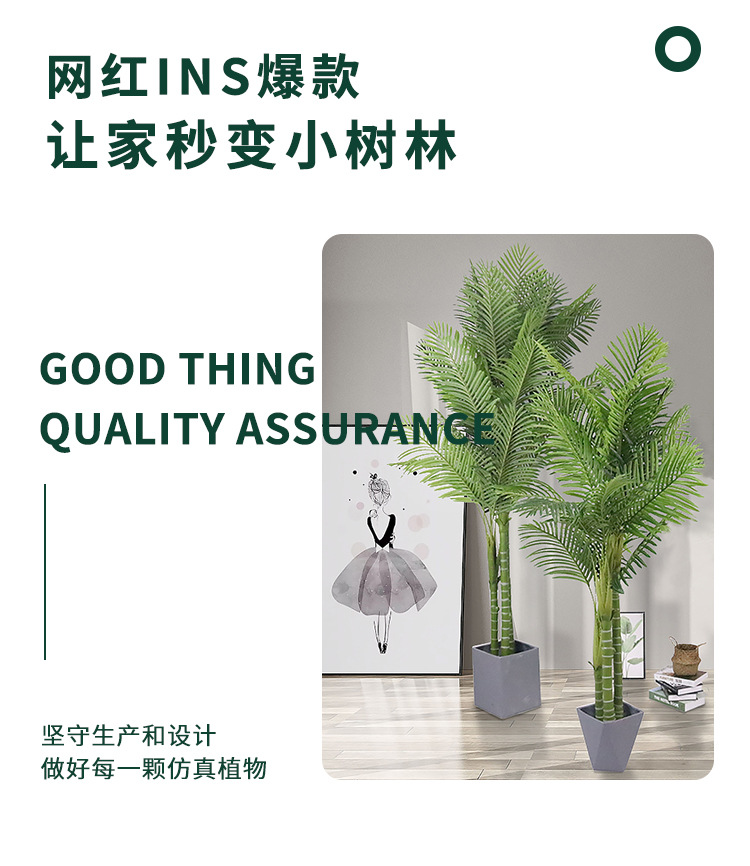 棕榈树详情1_03.jpg