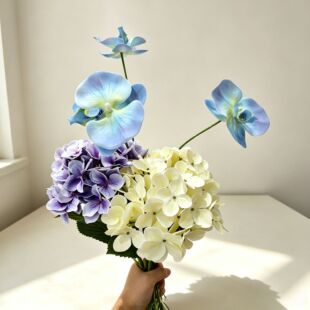 ���򻨼ٻ����滨�[���O�߼��б���͏d�������[���廨�b[����