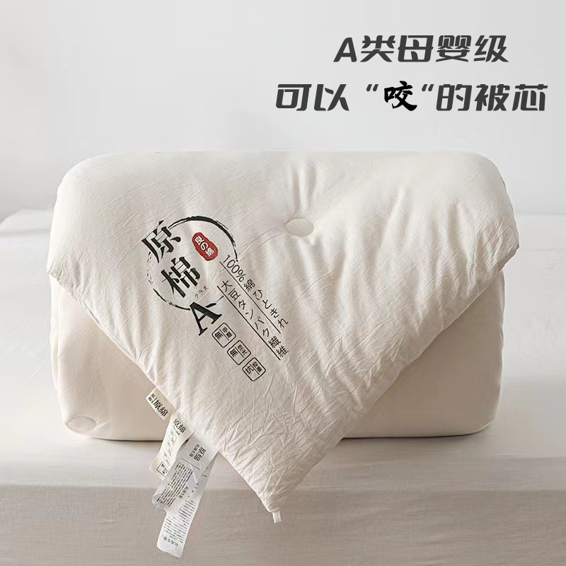 Class A maternal and infant grade soybean quilt washed cotton thickened warm winter quilt antibacterial gift pure cotton quilt core spring and autumn quilt wholesale