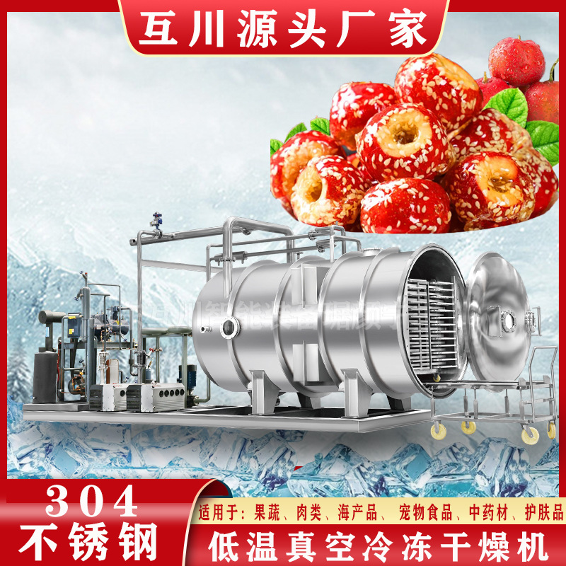 商用果蔬医药冻干生产线 中药饮片真空冷冻干燥机 低温真空脱水机