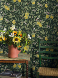 Swedish Hand-Painted Retro Classic Scandinavian Country Citronträd Plant Lemon Background Wallpaper Whole Sheet Decoration