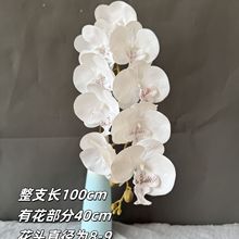 9�^���L3D��ӡ�����m���滨��c�Ӽ��bٻ��鷿���ò廨�߷���