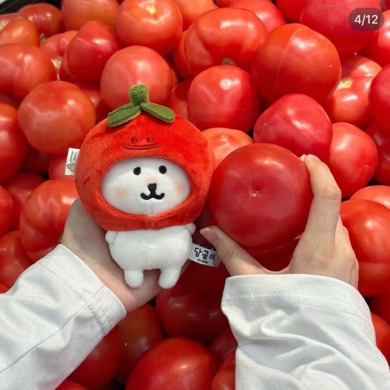 10cmかわいいトマトの頭セット人形高颜値自嘲ぬいぐるみchiikawawa人形服かわいい|undefined