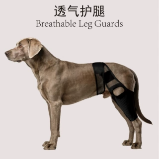 宠物狗后腿支撑护膝带带支撑条狗狗腿部受伤康复固定护套跨境热销