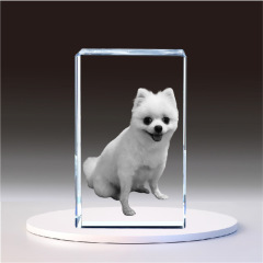 Temuアマゾン代発創意水晶内彫DIY図案カップル祝日プレゼント置物3d写真