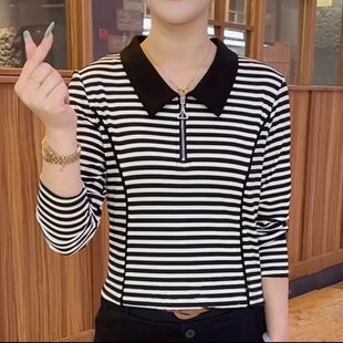 �羳�r�Ћ����b�¿�2024��aŮ�b�L���������꼃ɫ�@�ݜp�gPolo��