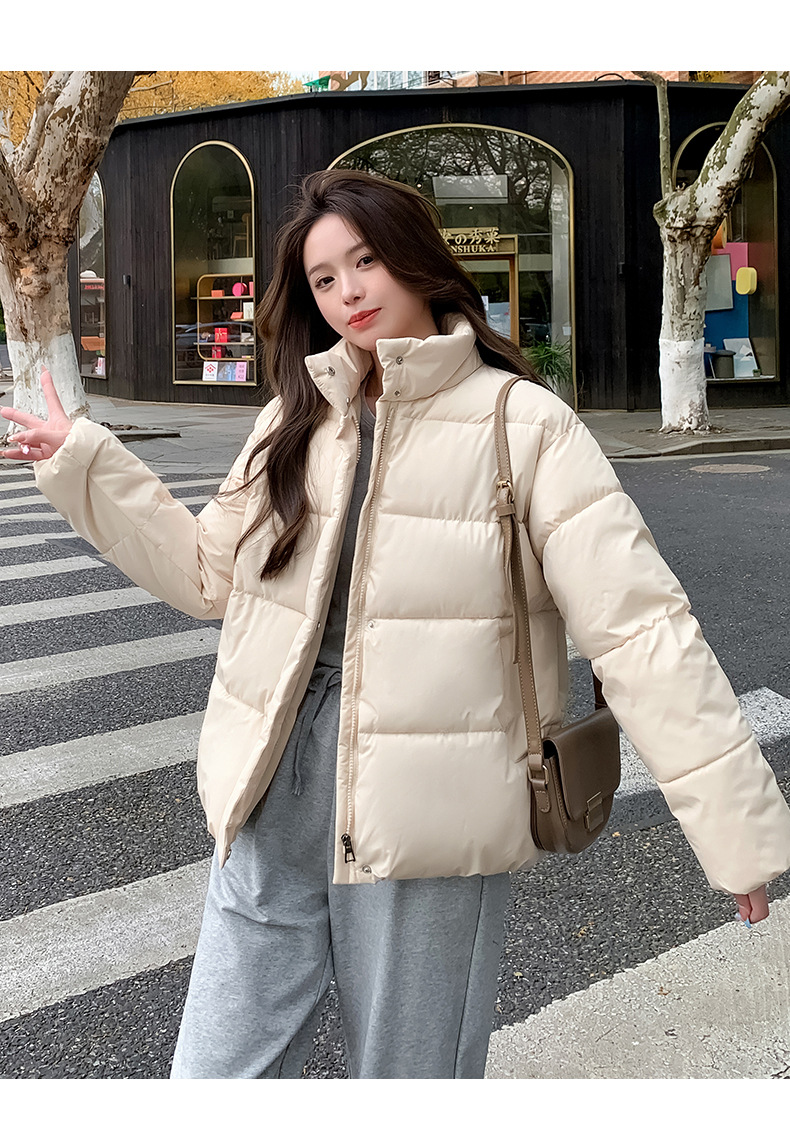 Women's Down Coat Winter Cotton Jacket Standing Collar Loose Fit_voghion.com