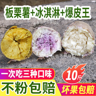 ���r���ݱ�Ƥ��������Ŵ�������ɳ�ر���ܼt����������ع�