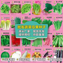 蔬菜种子