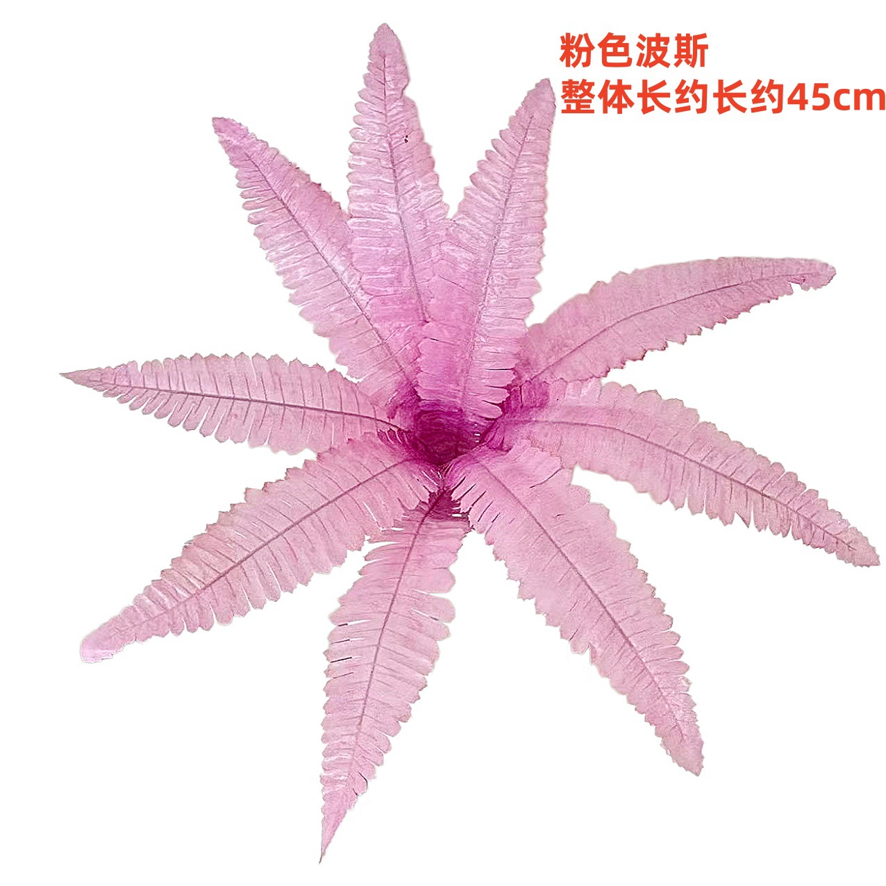 9葉ピンクペルシャ（大葉）