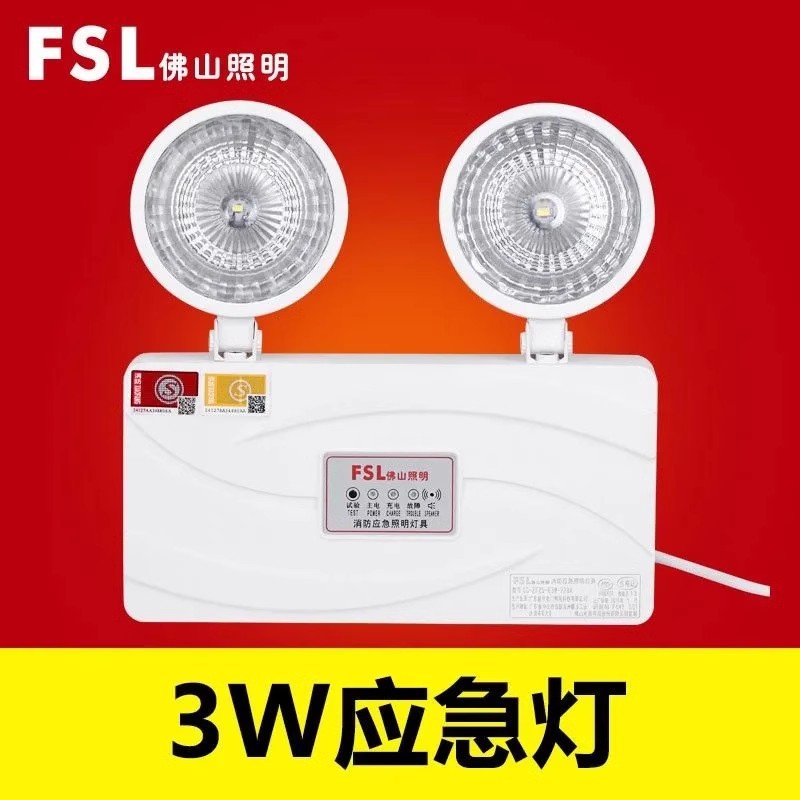 Double-headed emergency light