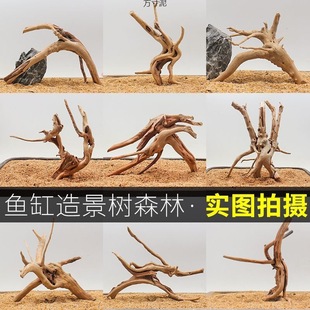 鱼缸造景杜鹃根沉木造景树根栖根枝蛇攀爬树枝树蛙攀爬木内饰批发-阿里巴巴