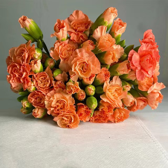 微信图片_20230214204857