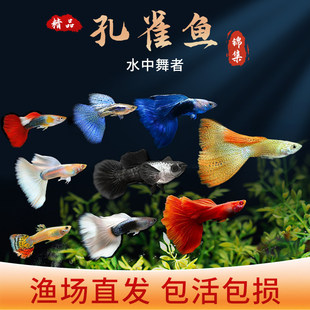 ��ȸ���~���N�Ꭷ�^�p�~С�ͺ��B��t�G�����R�����~��ˮ��С����