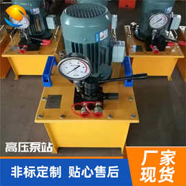 同步顶升液压泵站系统 手动便携式超高压泵站厂家 高压电动泵站