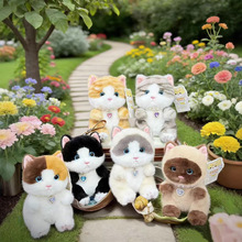 �ɐ�؈�乫�В��ë�q��߻�؈��ż耳׿۰��᲼�������նY�����l