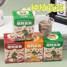 圣诞绿植小盆栽幼儿园礼物diy种植创意植物盲盒种子生长迷你盆栽